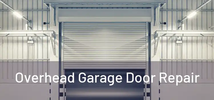  Overhead Garage Door Repair 